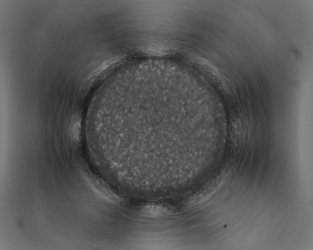 X0000111660596200908141315