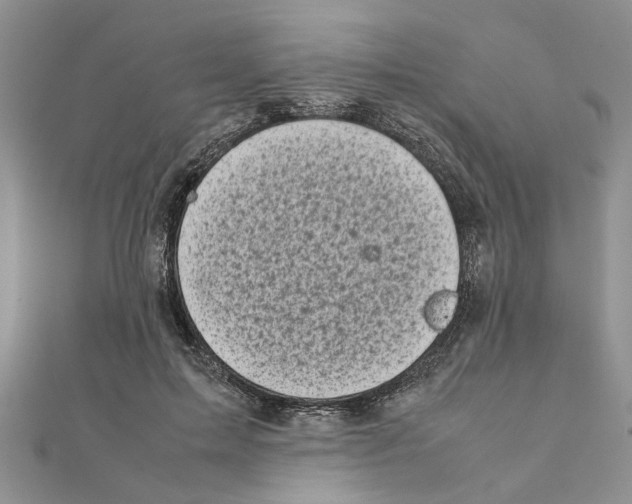 X0000111660599200908141315