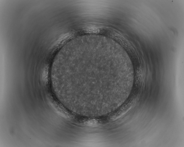 X0000111660600200908141315