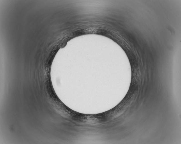 X0000111660601200908141315