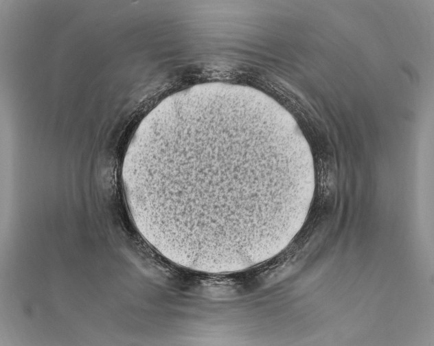 X0000111660603200908141315