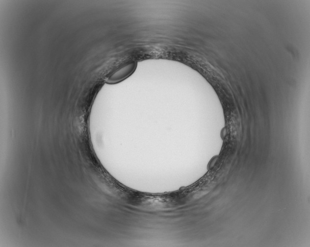 X0000111660611200908141315