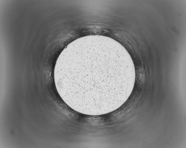 X0000111660615200908141315