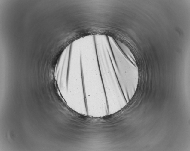 X0000111660621200908141315