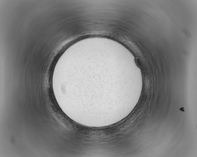 X0000111660628200908141314