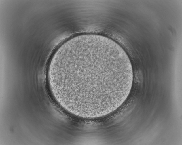 X0000111660632200908141314