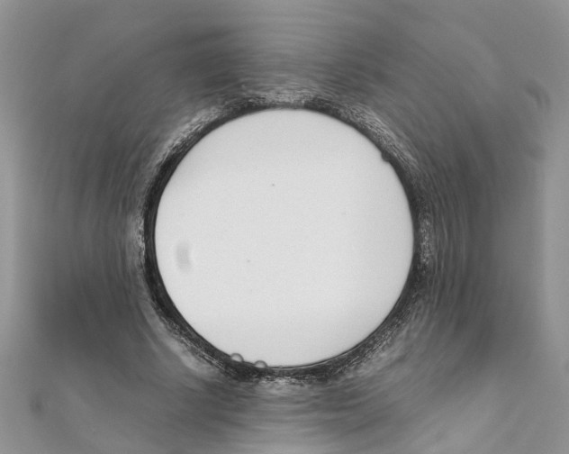 X0000111660634200908141314