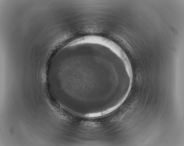 X0000111660635200908141314