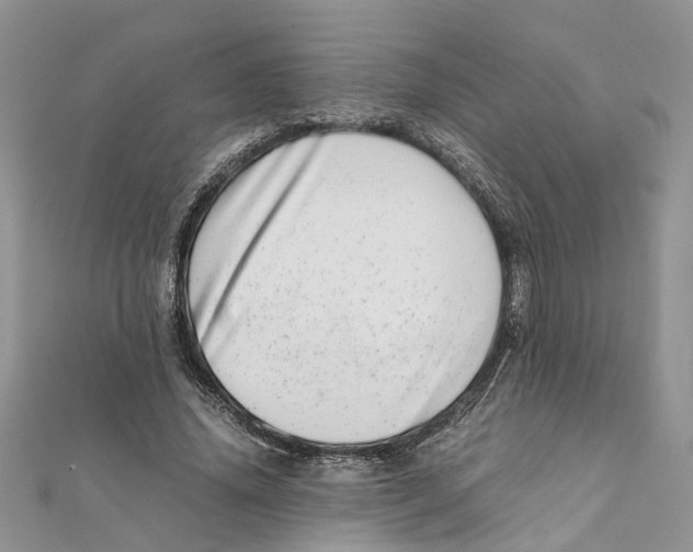 X0000111660636200908141314