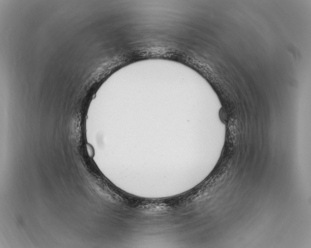 X0000111660642200908141314