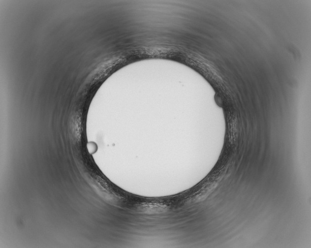 X0000111660644200908141314