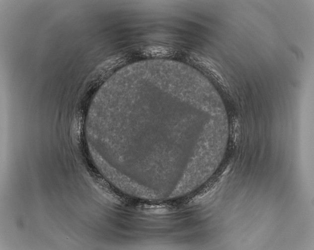 X0000111660645200908141314