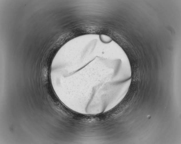 X0000111660646200908141314