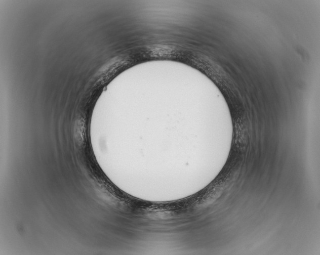 X0000111660648200908141314