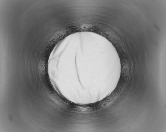 X0000111660654200908141314