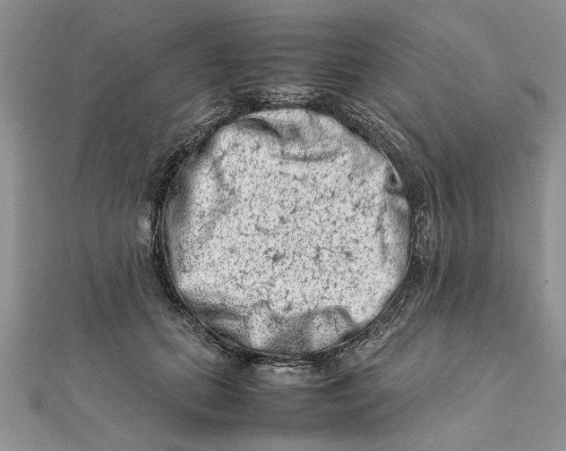 X0000111660655200908141314