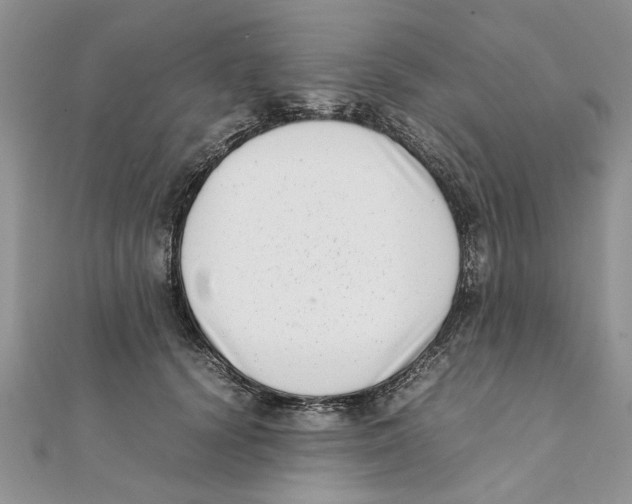 X0000111660656200908141315