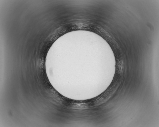 X0000111660657200908141315