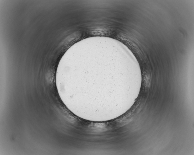 X0000111660665200908141315