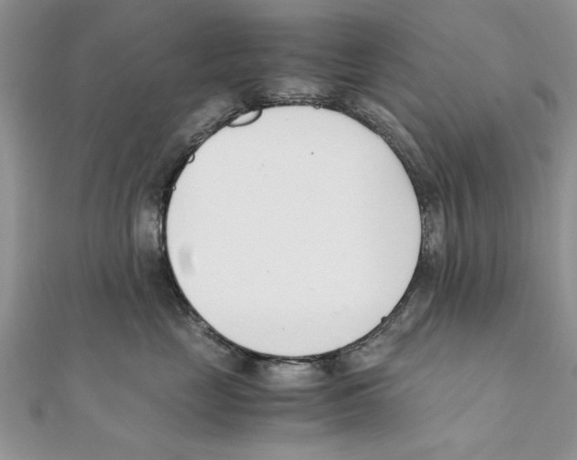 X0000111660669200908141315