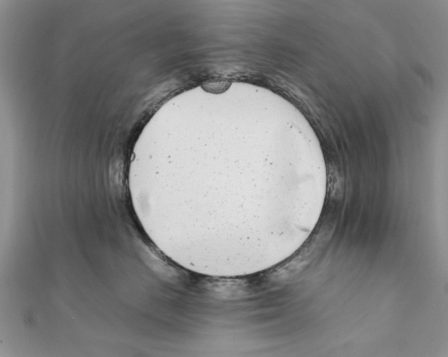 X0000111660670200908141315