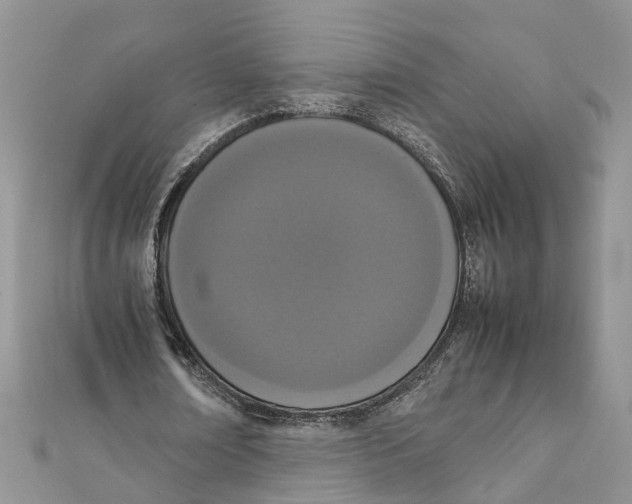 X0000111660674200908141314