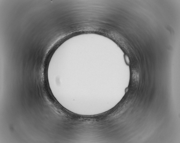 X0000111660676200908141314