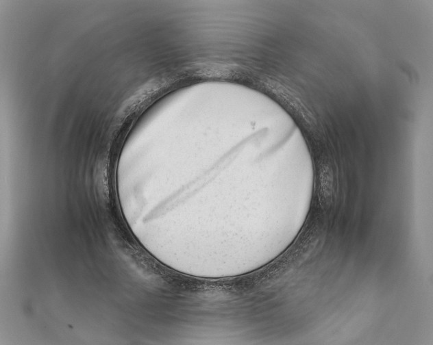 X0000111660682200908141314