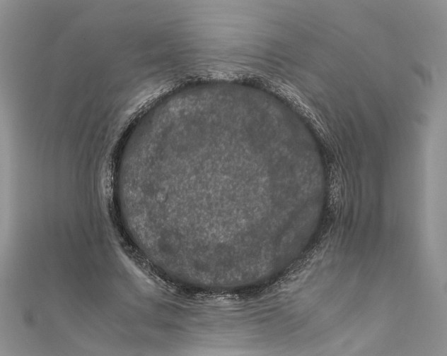 X0000111660683200908141314