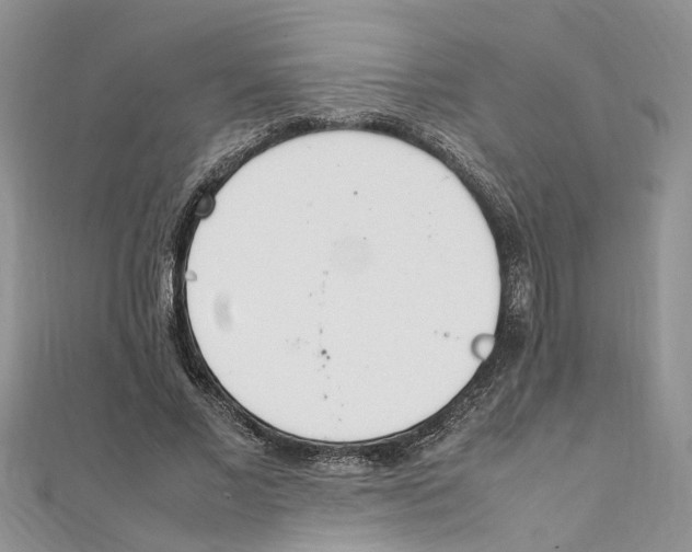 X0000111660685200908141314