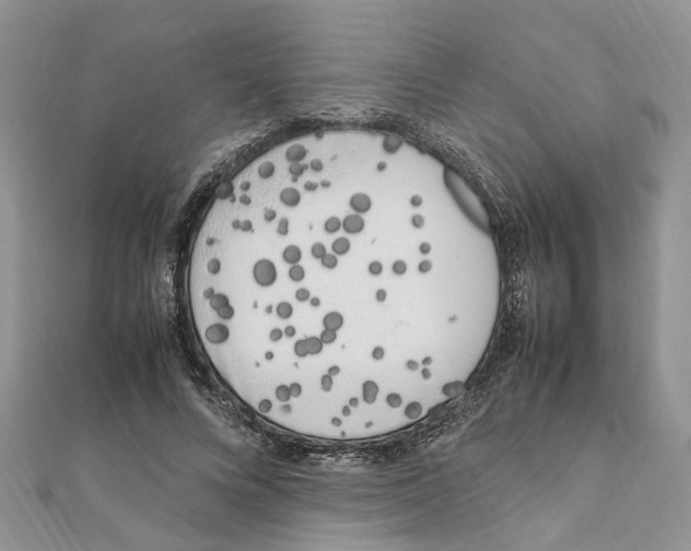 X0000111660688200908141314