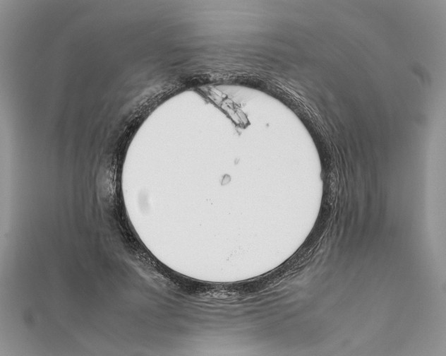 X0000111660691200908141314