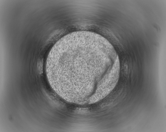 X0000111660694200908141314