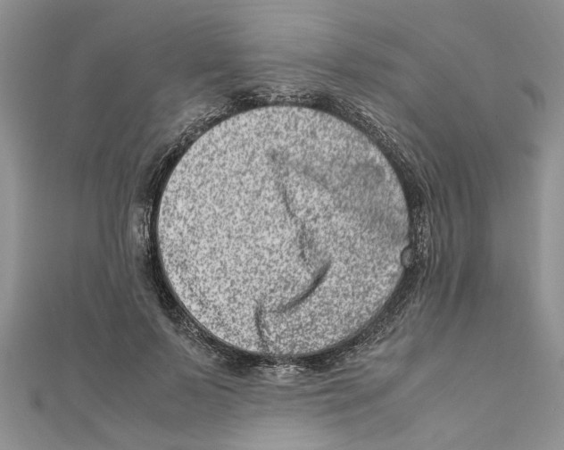 X0000111660695200908141314