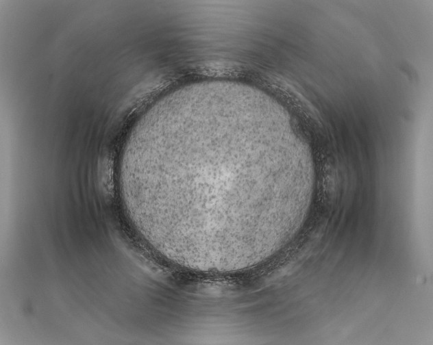 X0000111660696200908141314