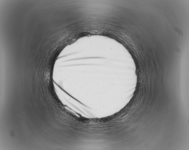 X0000111660697200908141314