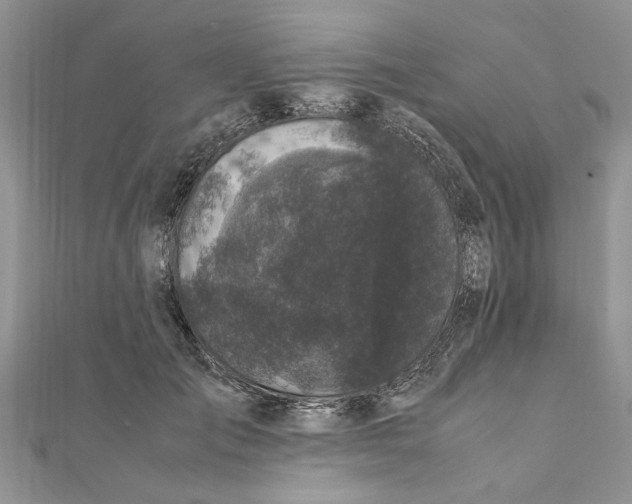 X0000111660701200908141314