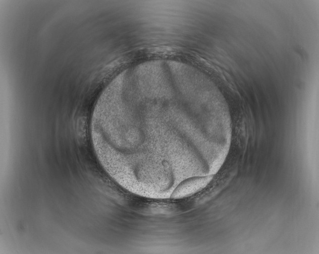 X0000111660708200908141313