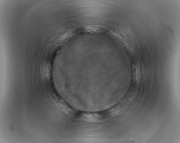 X0000111660712200908141313