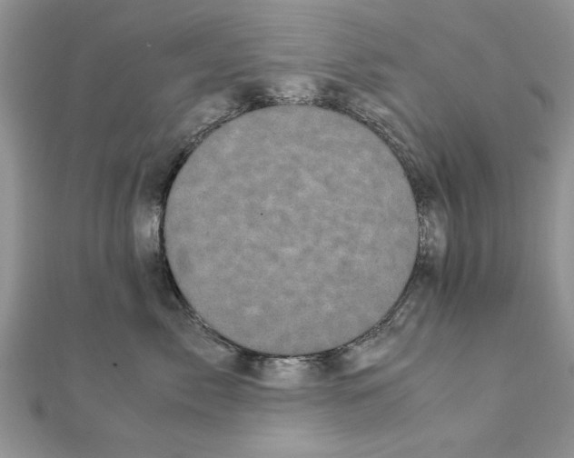 X0000111660717200908141313