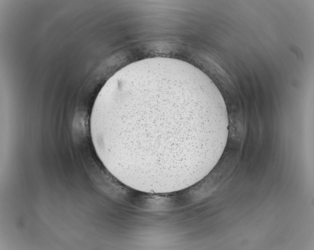 X0000111660718200908141313