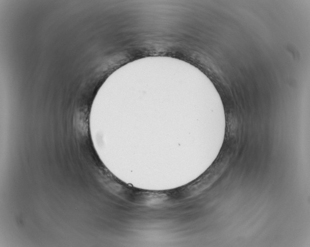 X0000111660719200908141313