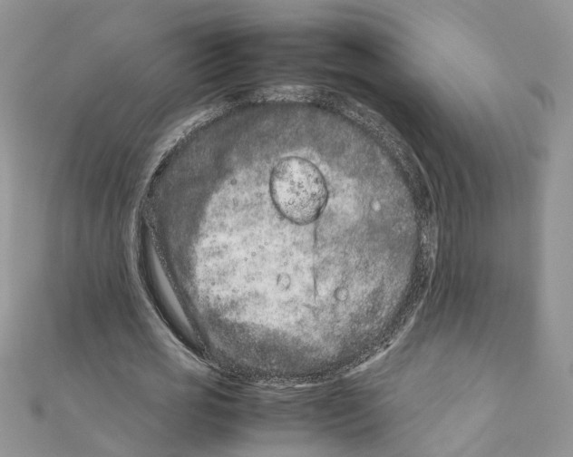 X0000111660725200908141313