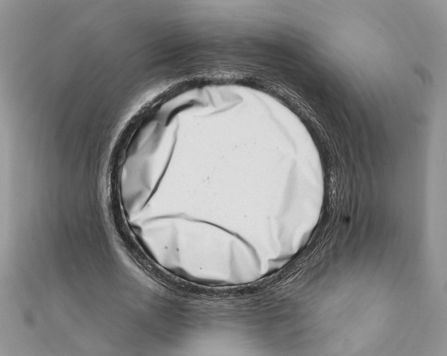 X0000111660726200908141313