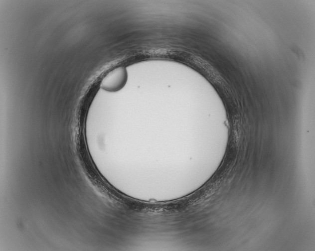 X0000111660728200908141313