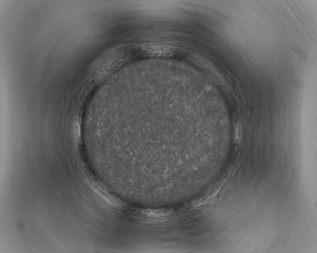 X0000111660733200908141313