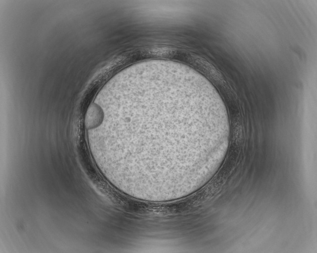 X0000111660736200908141313