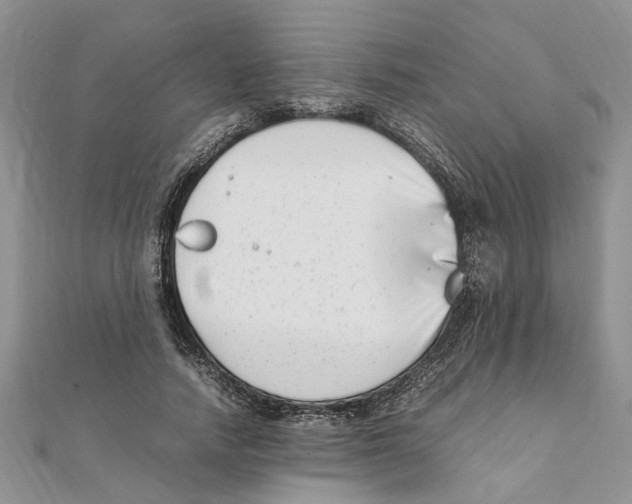 X0000111660738200908141313