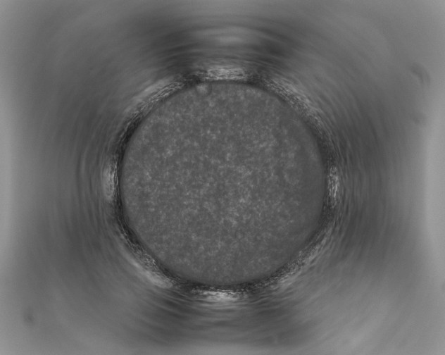 X0000111660741200908141313