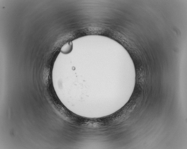 X0000111660742200908141313